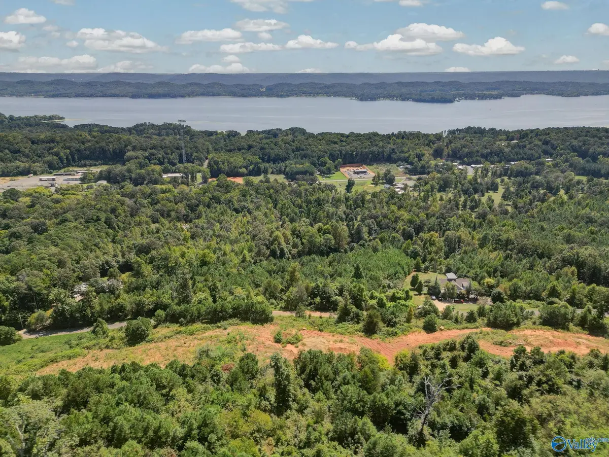 LOT 2&3 October Way, Guntersville, AL 35976 - #1