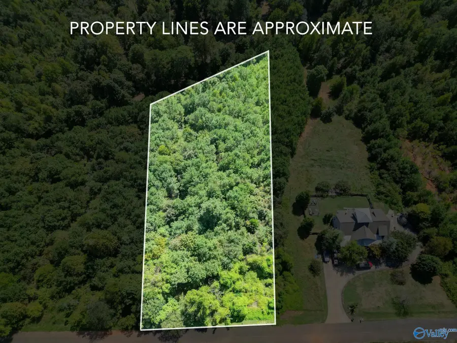 LOT 2&3 October Way, Guntersville, AL 35976 - #2