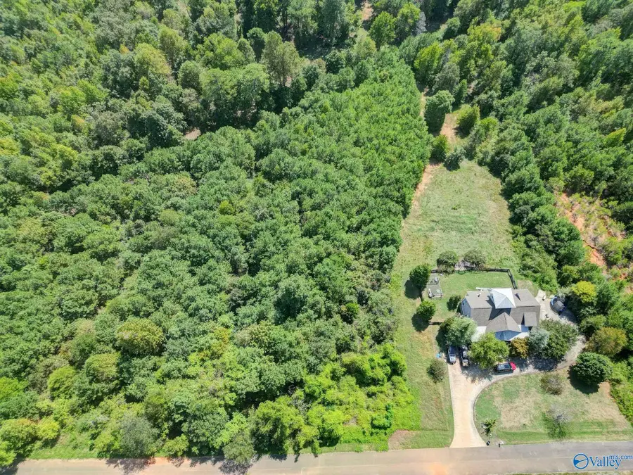 LOT 2&3 October Way, Guntersville, AL 35976 - #3