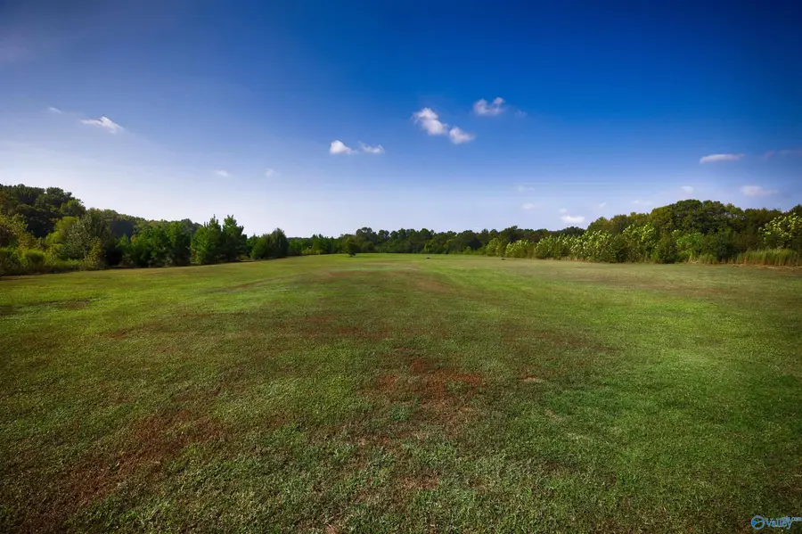 15694 Huntsville Brownsferry Road, Athens, AL 35611 - #3