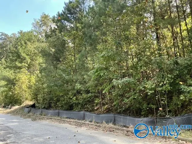 6783 Ivey Way, Trussville, AL 35173 - #1