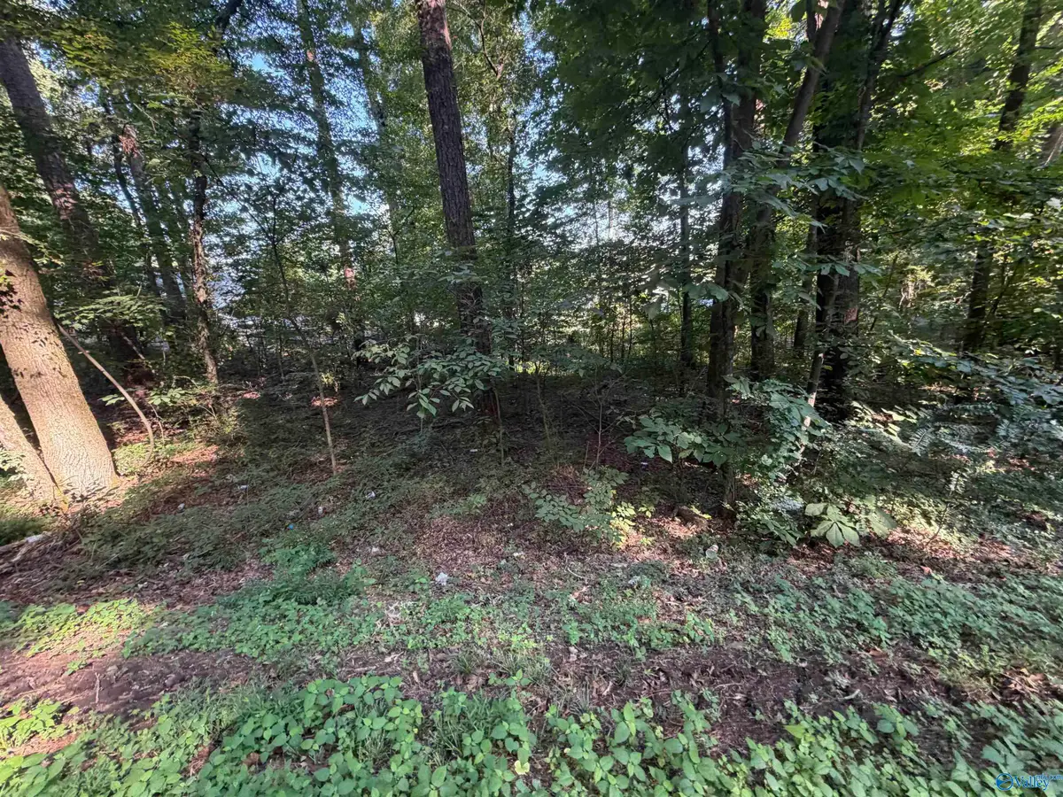 Lot 38 Creek Path/browns Valley Rd, Guntersville, AL 35976 - #1