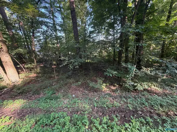 Lot 38 Creek Path/browns Valley Rd, Guntersville, AL 35976