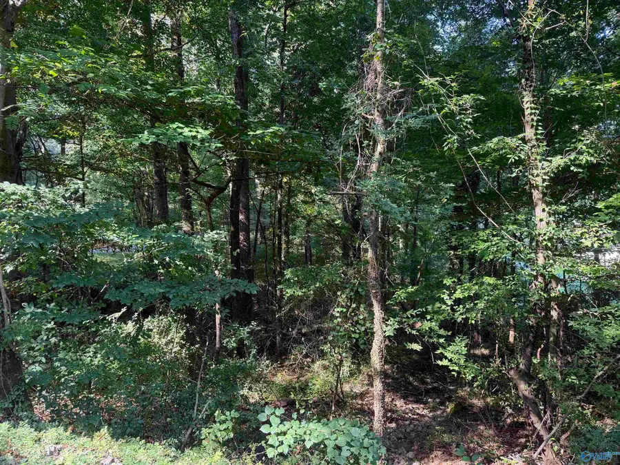 Lot 38 Creek Path/browns Valley Rd, Guntersville, AL 35976 - #2