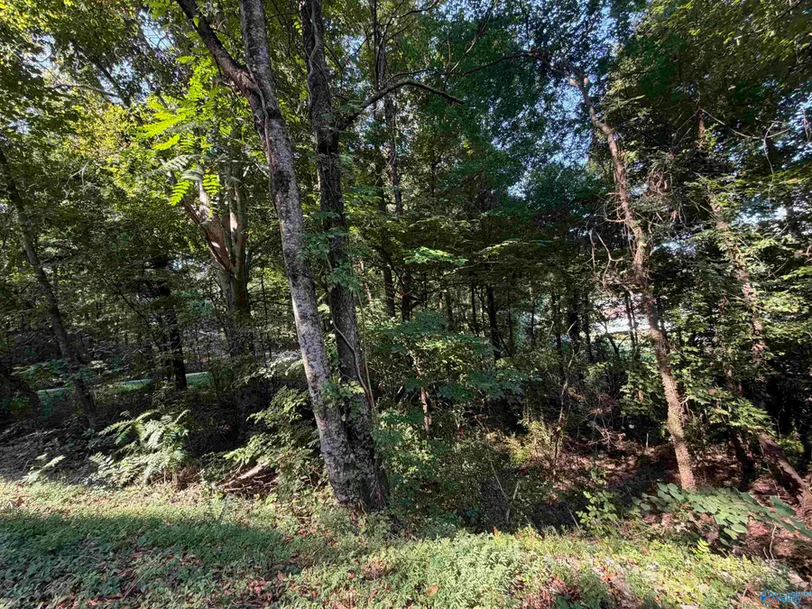 Lot 38 Creek Path/browns Valley Rd, Guntersville, AL 35976 - #3