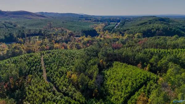 33 County Road 101, Centre, AL 35960