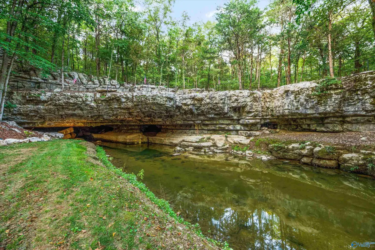 4201 Pleasant Valley Road, Union Grove, AL 35175 - #1