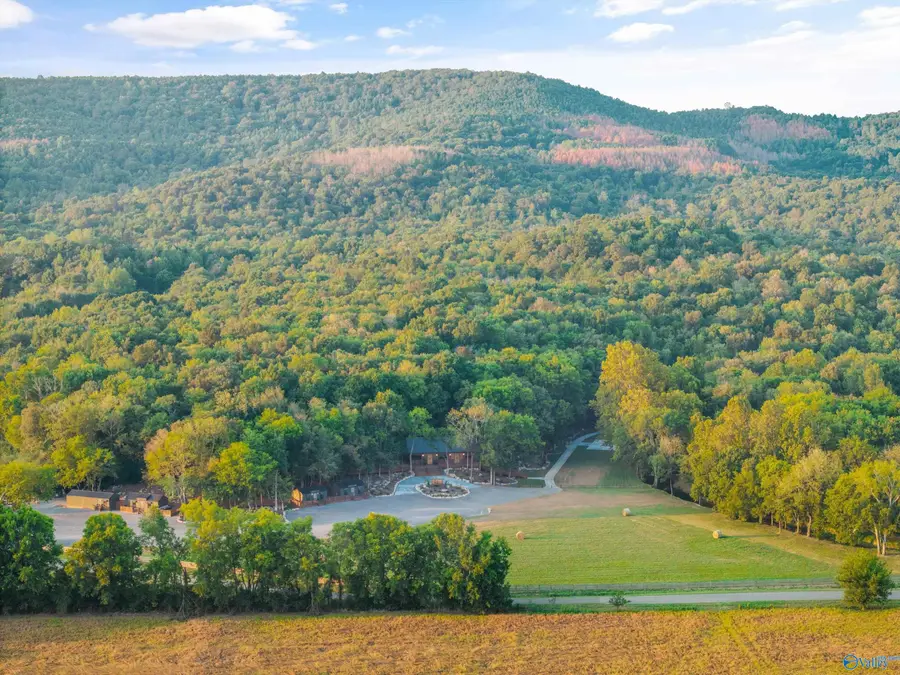 4201 Pleasant Valley Road, Union Grove, AL 35175 - #2