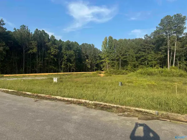 201 Vera Lane, Rainbow City, AL 35906