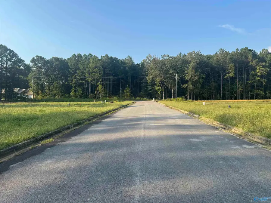 201 Vera Lane, Rainbow City, AL 35906 - #2