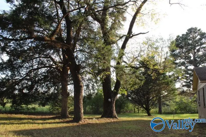 3698 County Road 1719, Holly Pond, AL 35083 - #2