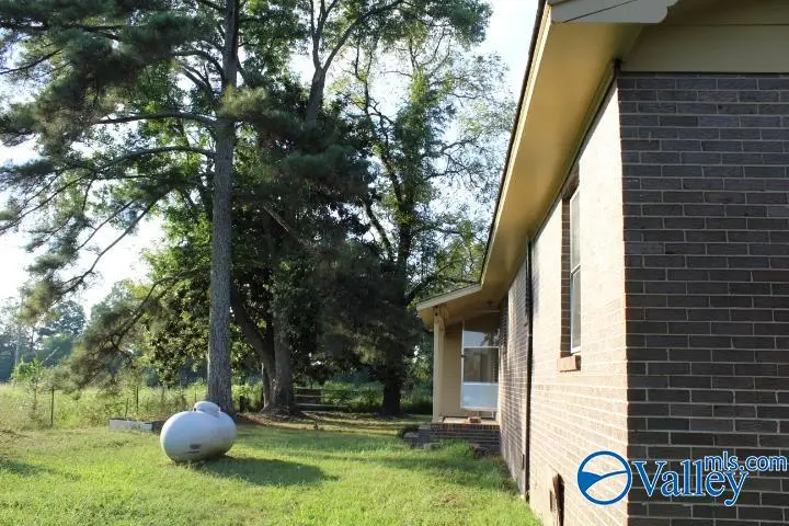 3698 County Road 1719, Holly Pond, AL 35083 - #3