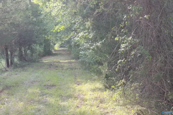39 Acres Culver Road, Falkville, AL 35622