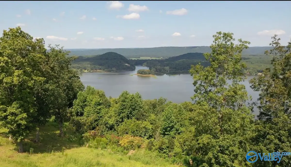 Lot 301 County Road 1022 #301, Cedar Bluff, AL 35959 - #1