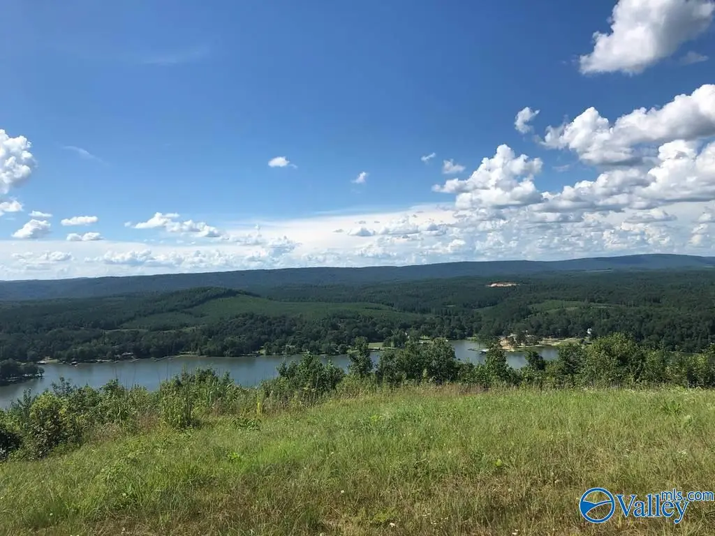 Lot 222 County Road 1022 #222, Cedar Bluff, AL 35959 - #1