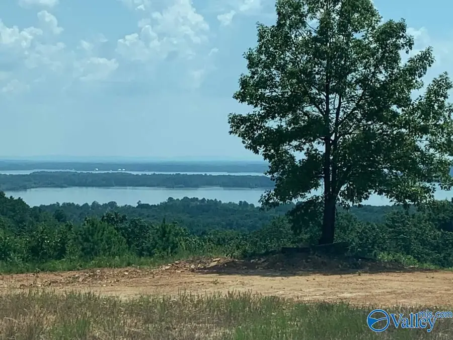 Lot 222 County Road 1022 #222, Cedar Bluff, AL 35959 - #3