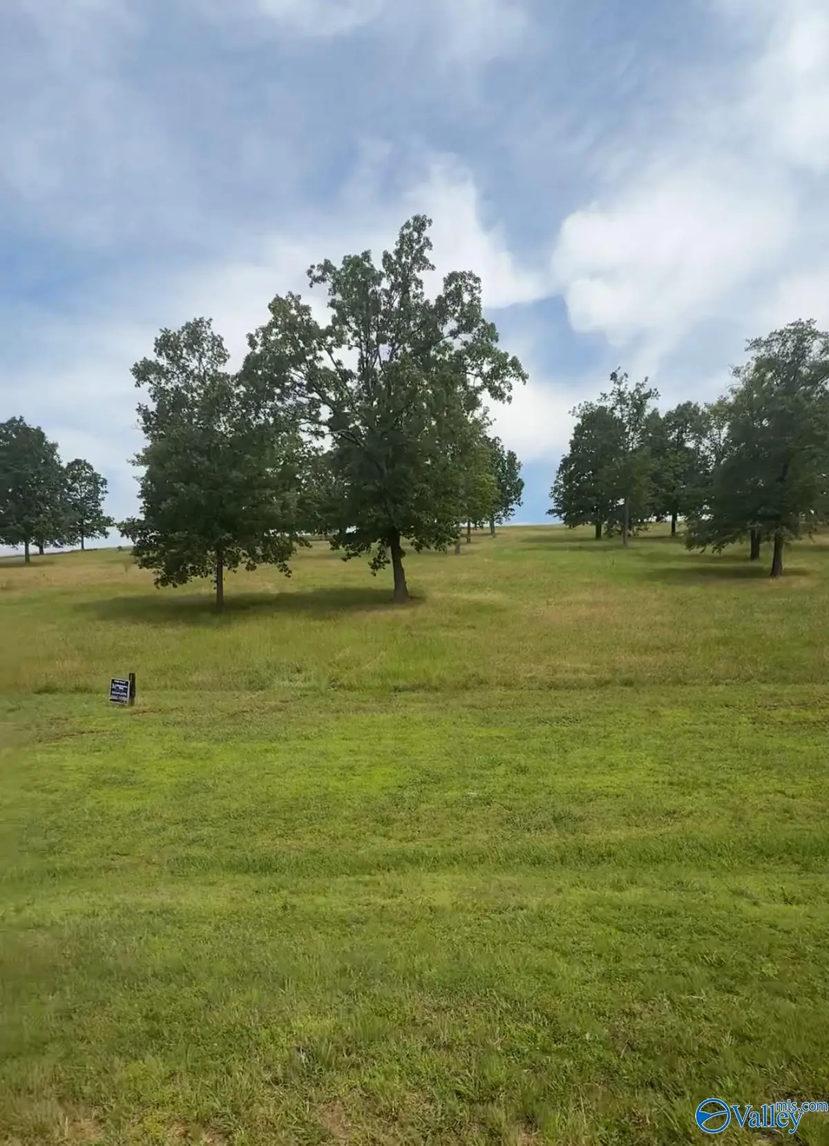 Lot 220 County Road 1022 #220, Cedar Bluff, AL 35959 - #1
