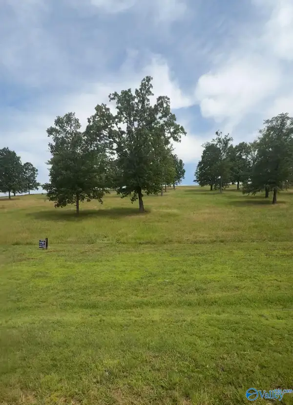 Lot 220 County Road 1022 #220, Cedar Bluff, AL 35959