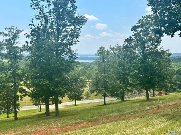 Lot 218 County Road 1022 #218, Cedar Bluff, AL 35959