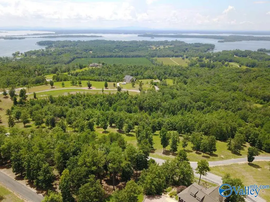 Lot 224 County Road 767 #224, Cedar Bluff, AL 35959 - #2