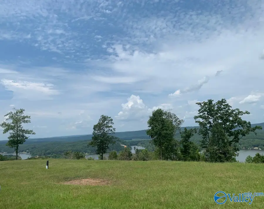 Lot 224 County Road 767 #224, Cedar Bluff, AL 35959 - #3