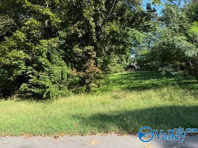 7 Cedar Lane, Guntersville, AL 35976 - #2