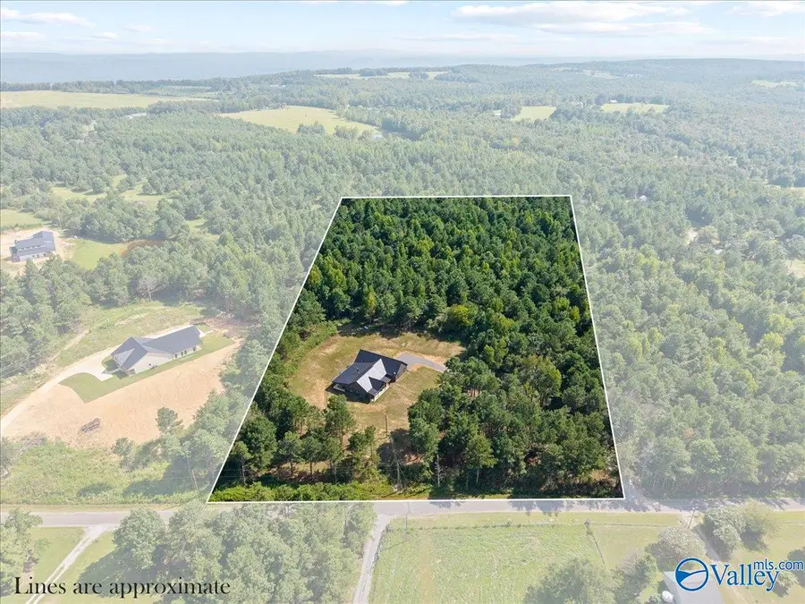 508 Jones Chapel Loop, Springville, AL 35146 - #3