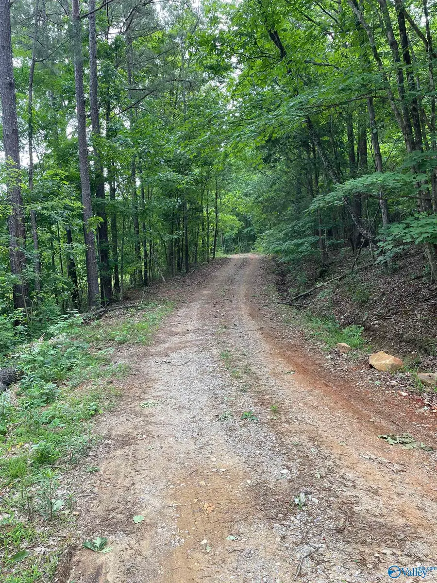 646 Keel Mountain Road, Gurley, AL 35748 - #2