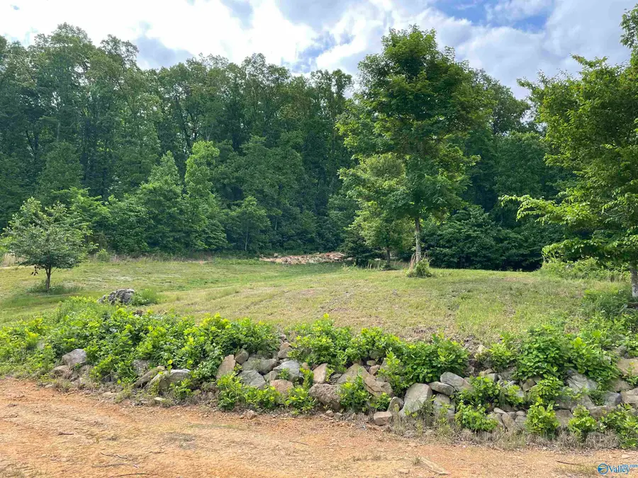 646 Keel Mountain Road, Gurley, AL 35748 - #3