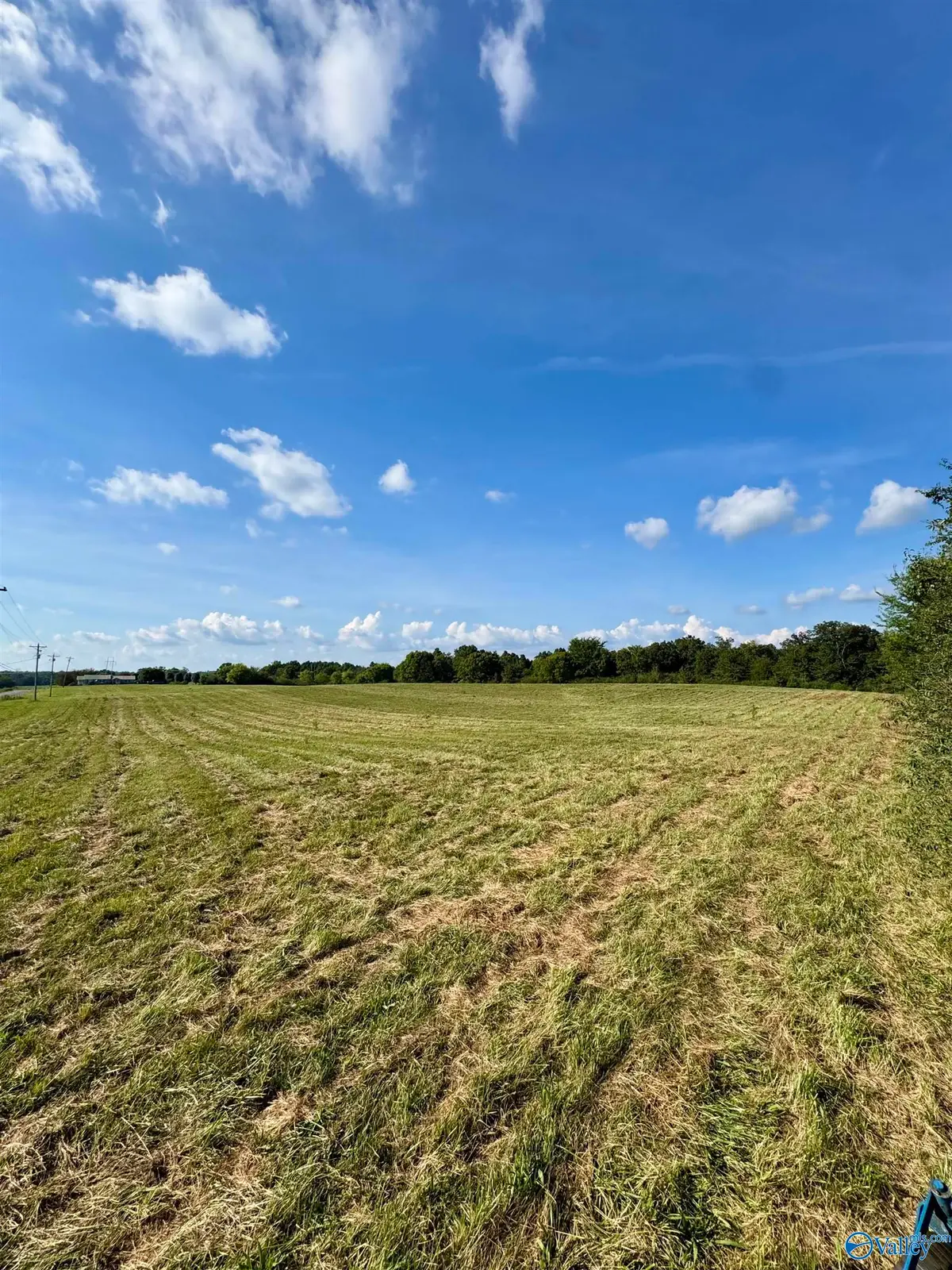 10.77 County Road 48, Section, AL 35771 - #1