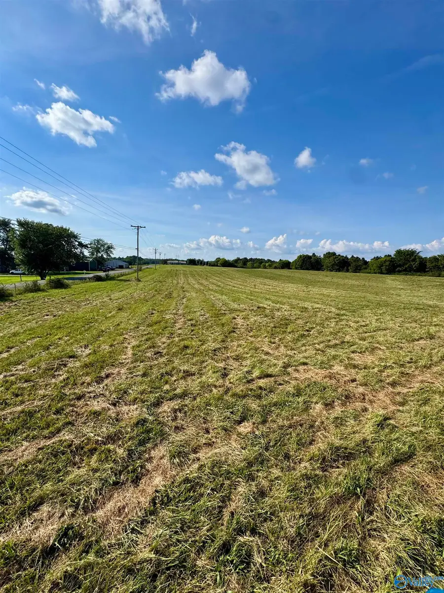 10.77 County Road 48, Section, AL 35771 - #2