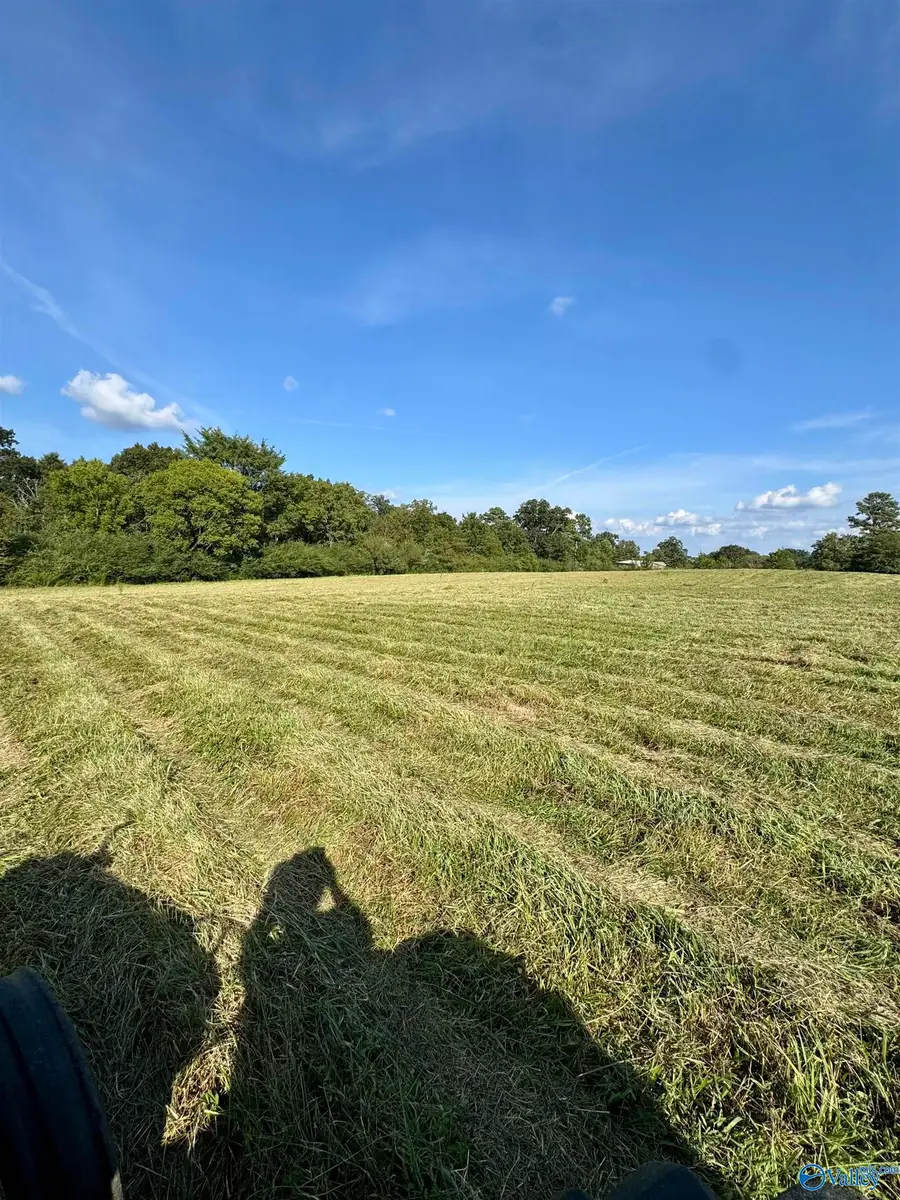 10.77 County Road 48, Section, AL 35771 - #3