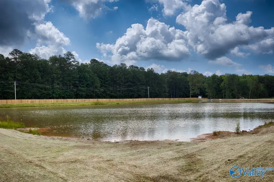 14861 Lapwing Cove, Athens, AL 35611 - #2