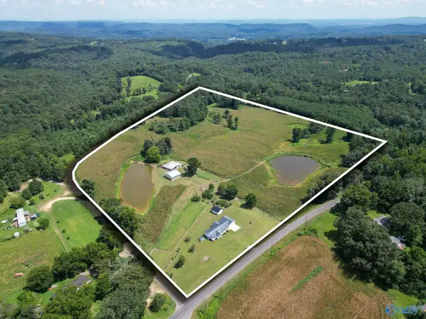 2828 Egypt Road, Altoona, AL 35952