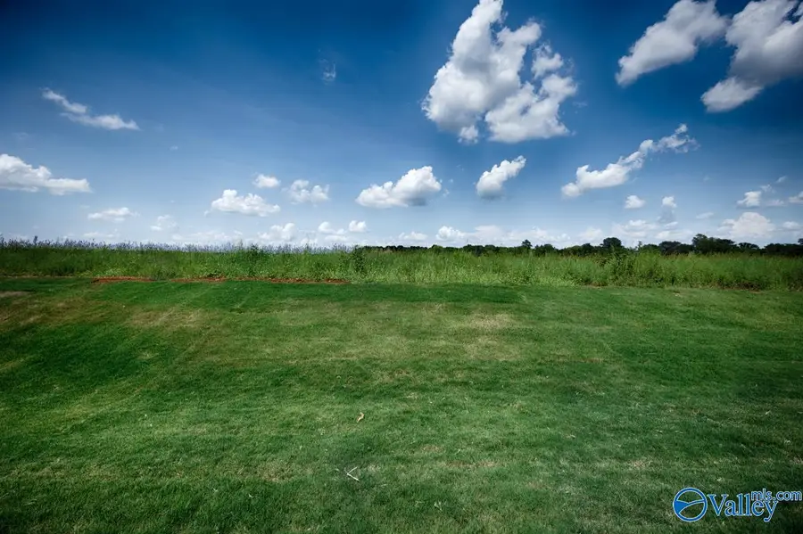 132 Shearwater Drive, Meridianville, AL 35759 - #2