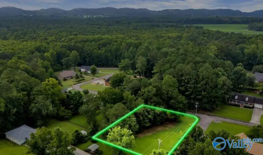 10 Crestfield Drive, Scottsboro, AL 35769 - #3