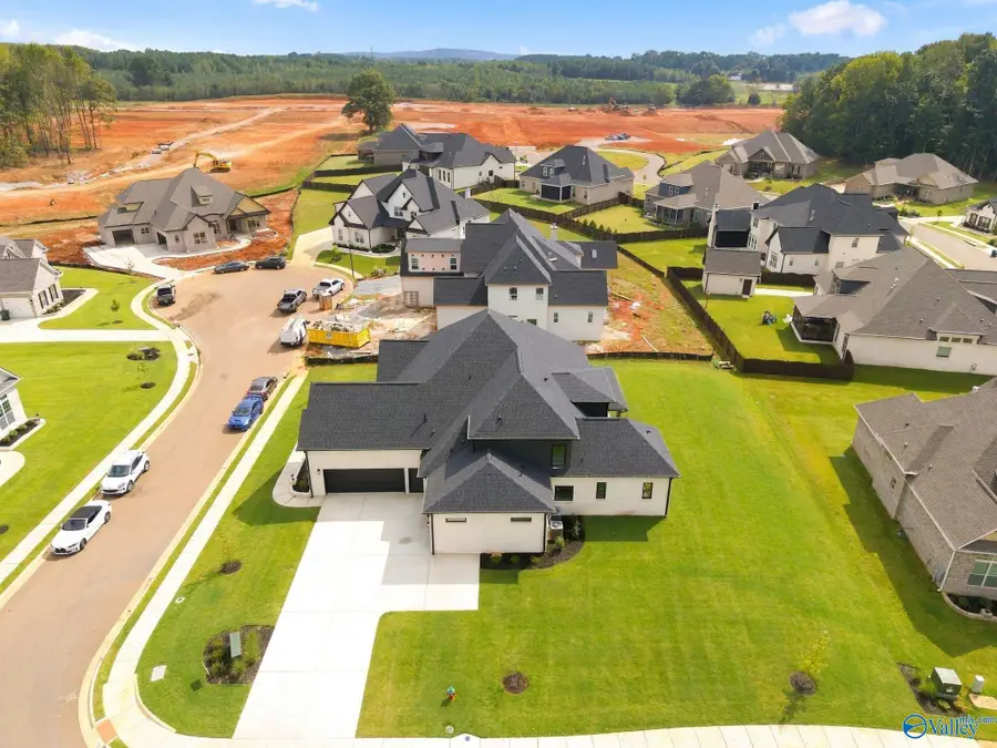 100 Twisted Cedar Circle, Madison, AL 35756 - #2