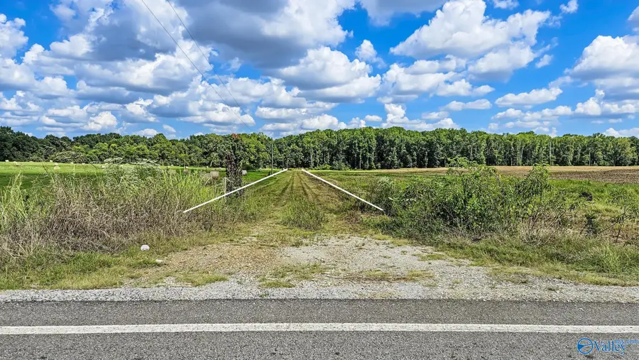 XXXX Meadows Road, Athens, AL 35613 - #2