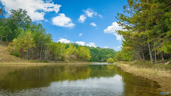 505 Road 9002, Mentone, AL 35984