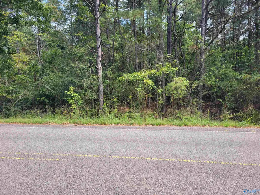 2500 County Road 63, Houston, AL 35572 - #2