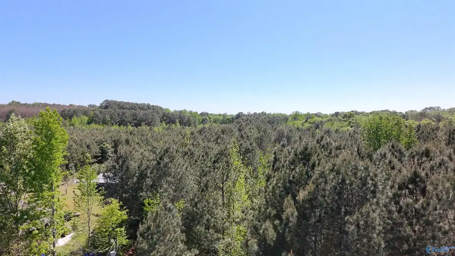 4049 Bethsaida Road, Boaz, AL 35957 - #2