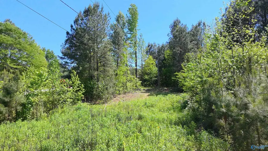 4049 Bethsaida Road, Boaz, AL 35957 - #3