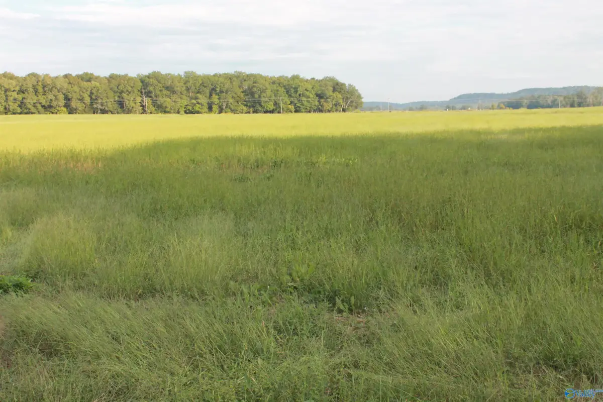 40 Acres Huckaby Bridge Road, Falkville, AL 35622 - #1