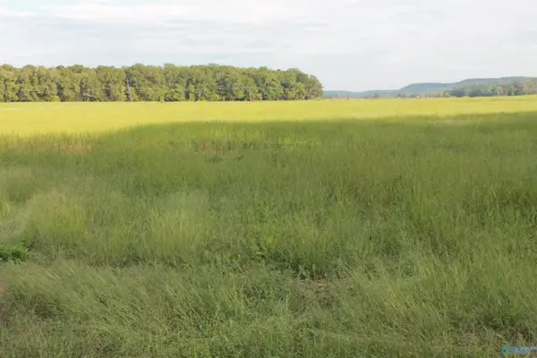 40 Acres Huckaby Bridge Road, Falkville, AL 35622
