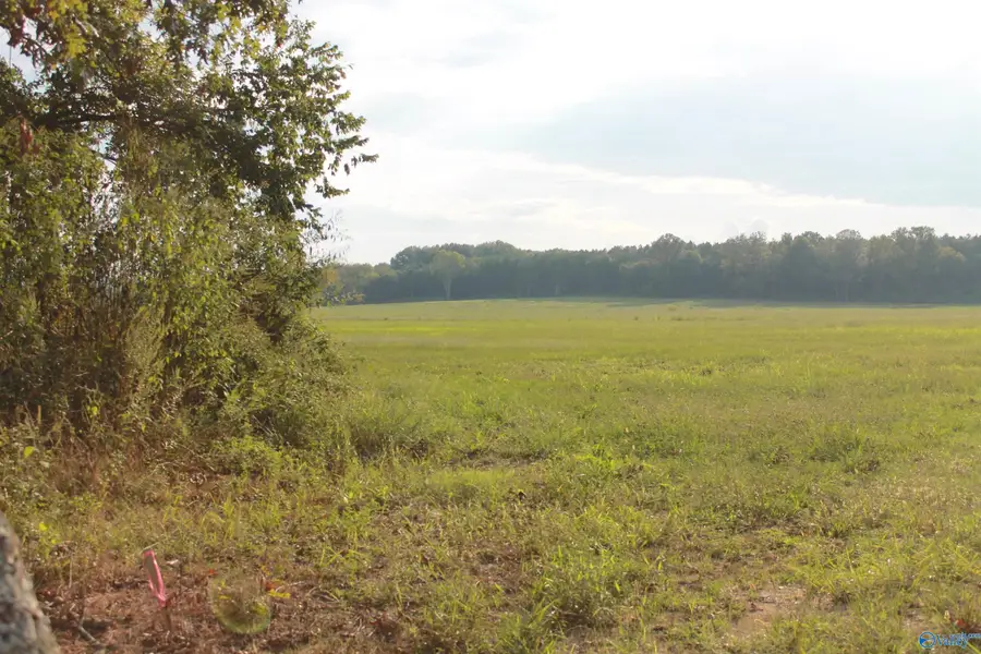 40 Acres Huckaby Bridge Road, Falkville, AL 35622 - #3