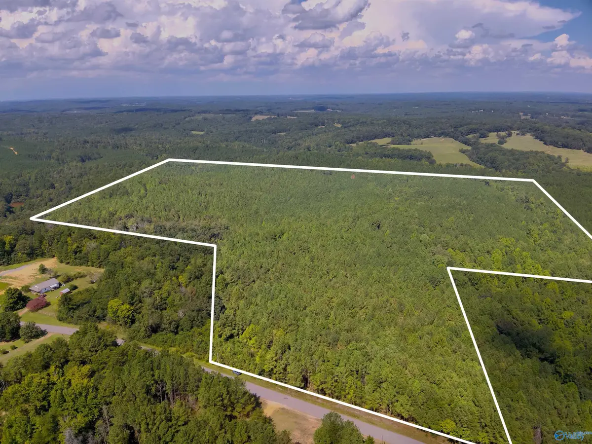 103 Acres County Road 20, Double Springs, AL 35553 - #1