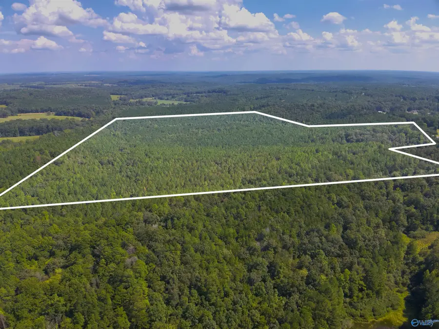 103 Acres County Road 20, Double Springs, AL 35553 - #2