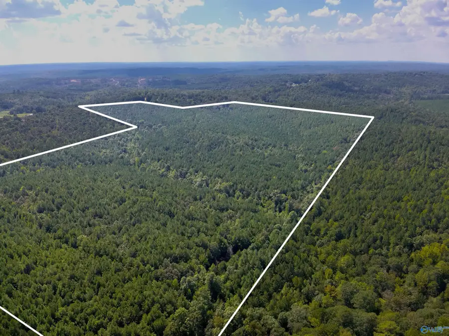 103 Acres County Road 20, Double Springs, AL 35553 - #3