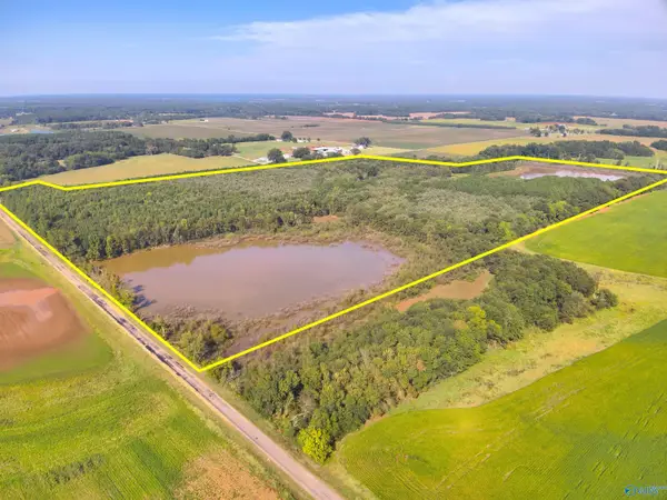 75 Acres 6th Street, Leighton, AL 35646