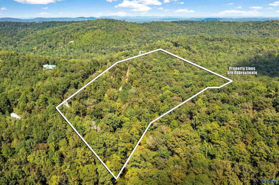 1595 Mohawk Cliff Road, Ohatchee, AL 36271 - #3
